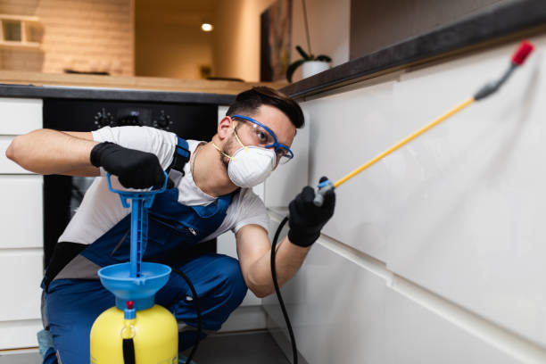 Best Affordable Pest Control Services  in Yazoo City, MS