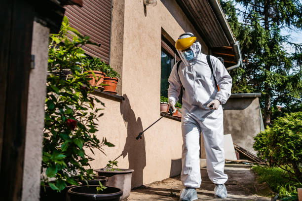 Best Mosquito Control Services  in Yazoo City, MS